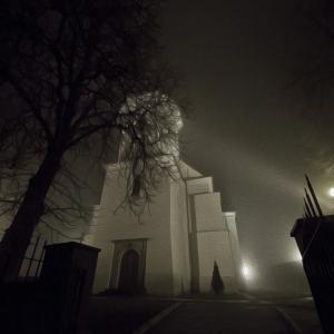 Greir / Shutterstock.com