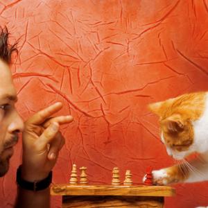 Choices image via Shutterstock