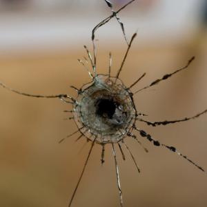 Photo: Kaygorodov Yuriy / Shutterstock.com Photo: Kaygorodov Yuriy / Shutterstock.com