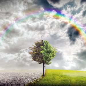 Climate change illustration, red-feniks / Shutterstock.com