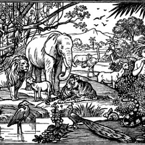 Garden of Eden, lynea / Shutterstock.com