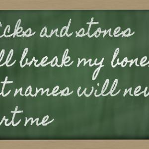 Sticks and stones saying, Vepar5  / Shutterstock.com