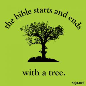 Tree illustration, Sandi Villarreal / Sojourners