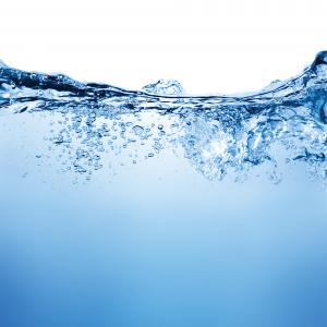 robert_s / Shutterstock robert_s / Shutterstock