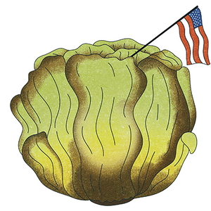 lettuce head with American flag planted on top