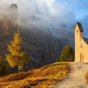 Maten_House / Shutterstock Marten_House / Shutterstock