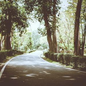 Indypendenz / Shutterstock Indypendenz / Shutterstock
