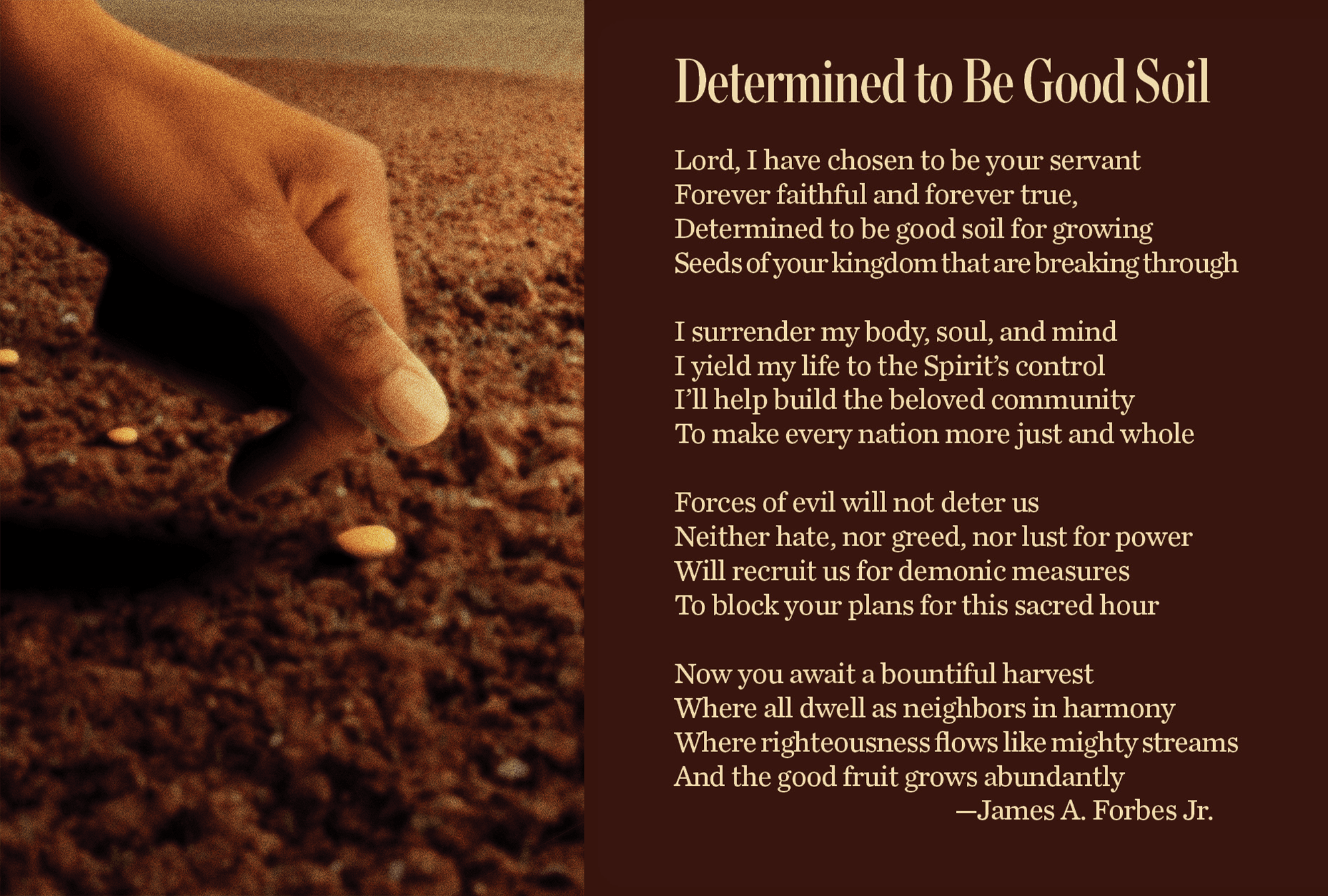 A poem by James A. Forbes Jr. Text to all poems can be found at the end of the story.