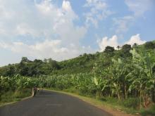 Roadway in Burundi. Photo by Janelle Tupper / Sojourners Roadway in Burundi. Photo by Janelle Tupper / Sojourners