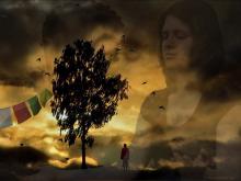 "Tree of Prayer" image via Wylio http://www.wylio.com/credits/Flickr/4404284129 "Tree of Prayer" image via Wylio http://www.wylio.com/credits/Flickr/4404284129