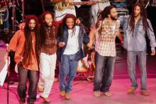 Marley brothers. Photo by Getty Images. 