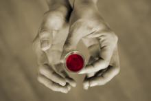Communion image, Suzanne Tucker / Shutterstock.com