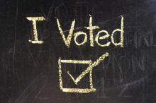 Voting illustration,  suwan reunintr / Shutterstock.com