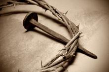 nito/Shutterstock