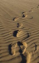 A single pair of footprints. Photo courtesy grebcha/shutterstock.com