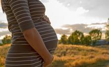 Pregnant woman in a sunset in the park. Photo: Shutterstock / nacroba