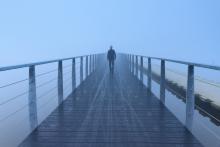 Image via Sander van der Werf/shutterstock.com Image via Sander van der Werf/shutterstock.com
