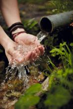 Wellspring, Oleh Slobodeniuk / Shutterstock.com