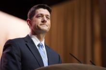 Christopher Halloran / Shutterstock Christopher Halloran / Shutterstock