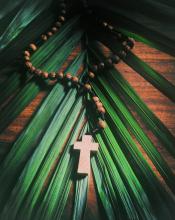 The cross and the palm frond. Image via Muskoka Stock Photos/shutterstock.com The cross and the palm frond. Image via Muskoka Stock Photos/shutterstock.com