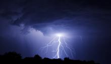 Kucher Serhii / Shutterstock.com