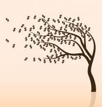 pau2000 / Shutterstock.com