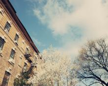 City in Spring, Andrekart Photography / Shutterstock.com