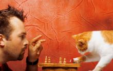 Choices image via Shutterstock Choices image via Shutterstock