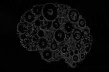 Brain Illustration Brain Illustration