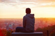 Jaromir Chalabala / Shutterstock.com