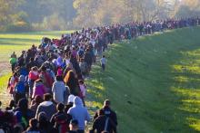 Janossy Gergely / Shutterstock Janossy Gergely / Shutterstock