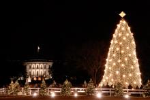 Photo: National Christmas Tree, © Robert Crow / Shutterstock.com