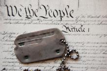 Photo: Dogtags on the Constitution, Sergey Kamshylin / Shutterstock.com