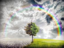 Climate change illustration, red-feniks / Shutterstock.com