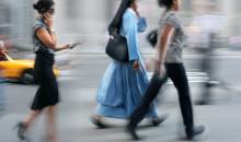 Photo: SVLuma / Shutterstock.com