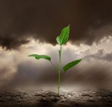 Creation care image, LilKar / Shutterstock.com Creation care image, LilKar / Shutterstock.com