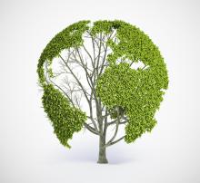 Image via Mopic/shutterstock.com