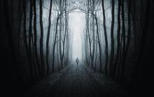 Man alone in a dark forest, andreiuc88 / Shutterstock.com