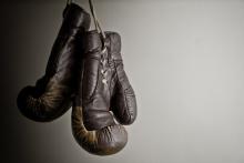 Brown boxing gloves, Csehak Szabolcs / Shutterstock.com