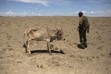 Photo via REUTERS / Siegfried Modola / RNS