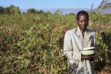 USAID U.S. Agency for International Development/ Flikr.com