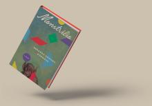 Zando The book ‘Monstrilio’ is at an angle hovering in the air. Various shapes of different colors are spread across a gray-green background on the cover. A small brown creature with round red eyes and pointy ears is visible in the lower center of the cover.