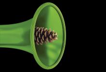 Illustration by Matt Chase Illustration of a pinecone emerging from the bell of a green bugle