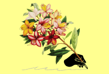 Illustration by Matt Chase A hand is holding a pen made out of a bouquet of flowers.