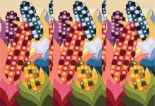 Image of multicolored ears of corn
