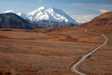 Gail Johnson / Shutterstock Gail Johnson / Shutterstock