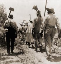 Sharecropper