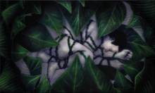 Illustration by Aldo Jarillo An illustration of a woman curled in the fetal position, partly covered by leaves that surround her as she is ensnared by green briar.