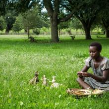 '12 Years a Slave' still, Fox Searchlight