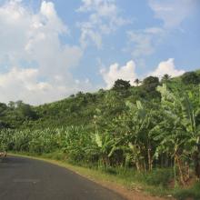 Roadway in Burundi. Photo by Janelle Tupper / Sojourners